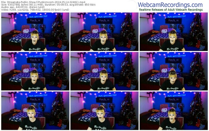 streamate-punkunicorn-05-14-2024-02-46-11
