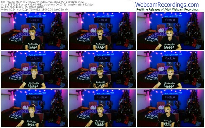 streamate-punkunicorn-05-14-2024-03-04-37