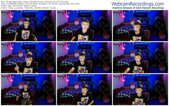 streamate-punkunicorn-05-16-2024-23-57-50