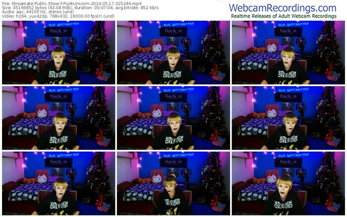 streamate-punkunicorn-05-17-2024-02-52-46