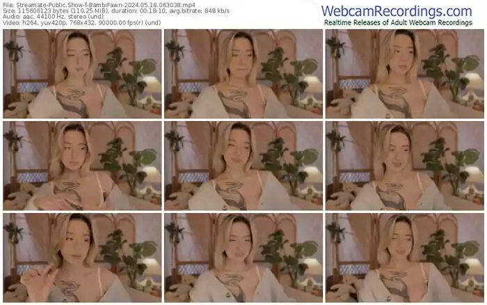 streamate-bambifawn-05-18-2024-06-30-38