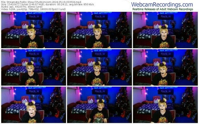 streamate-punkunicorn-05-19-2024-03-35-34