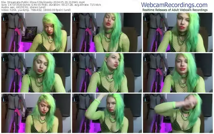 streamate-skylinesky-05-20-2024-21-09-41