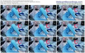 streamate-furrball-05-22-2024-14-22-16