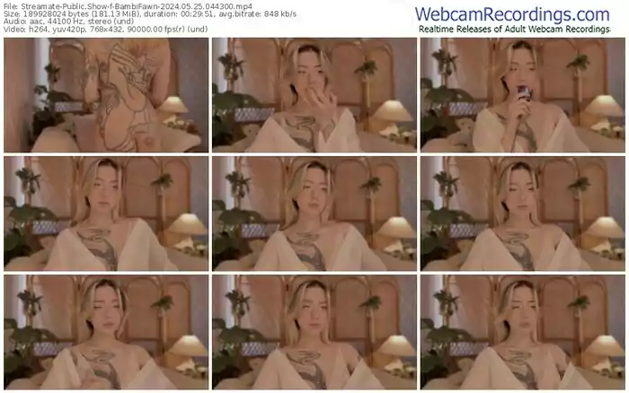 streamate-bambifawn-05-25-2024-04-43-00