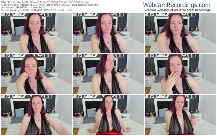 streamate-sinfultitsdd-05-26-2024-13-59-23