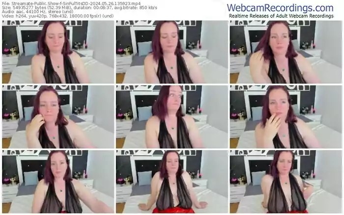 streamate-sinfultitsdd-05-26-2024-13-59-23