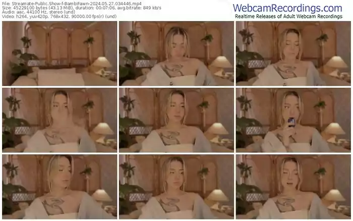 streamate-bambifawn-05-27-2024-03-44-46