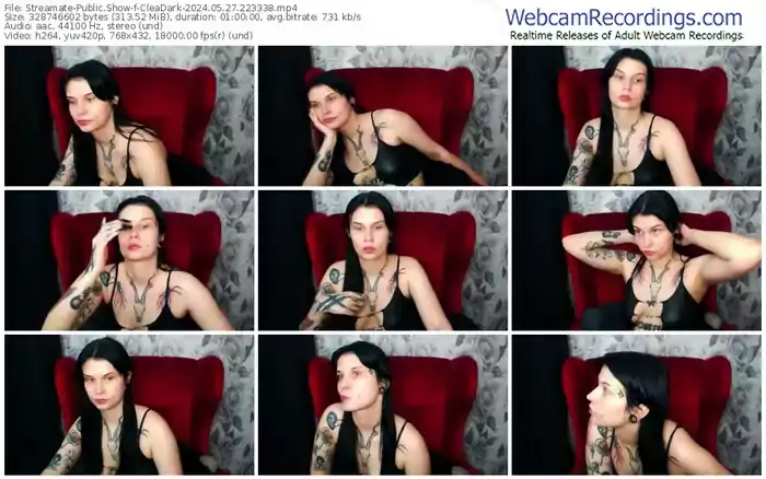 streamate-cleadark-05-27-2024-22-33-38