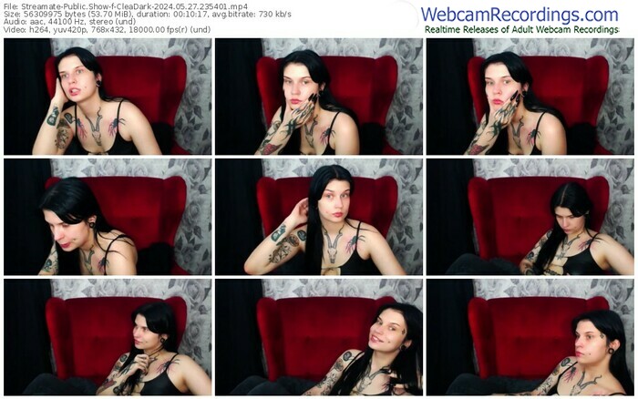 streamate-cleadark-05-27-2024-23-54-01