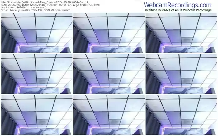 streamate-alex_dinero-05-28-2024-16-34-45