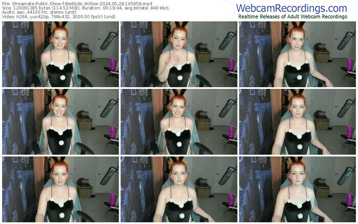 streamate-bedside_willow-05-28-2024-19-54-58