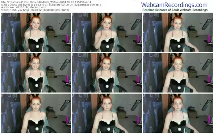 streamate-bedside_willow-05-28-2024-19-54-58