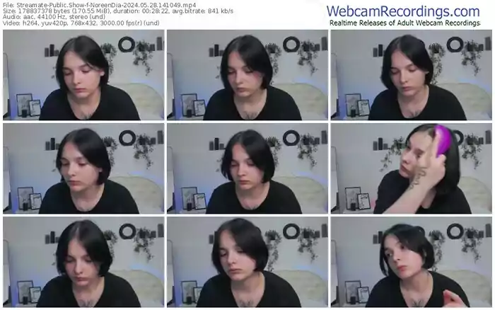 streamate-noreendia-05-28-2024-14-10-49