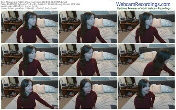 streamate-suzyque-05-28-2024-03-30-54