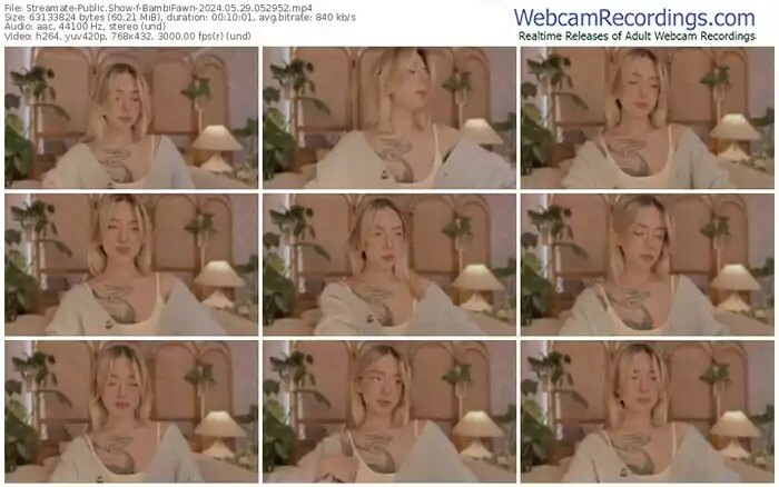 streamate-bambifawn-05-29-2024-05-29-52