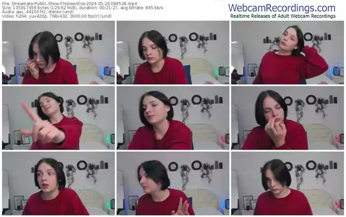 streamate-noreendia-05-29-2024-08-45-28