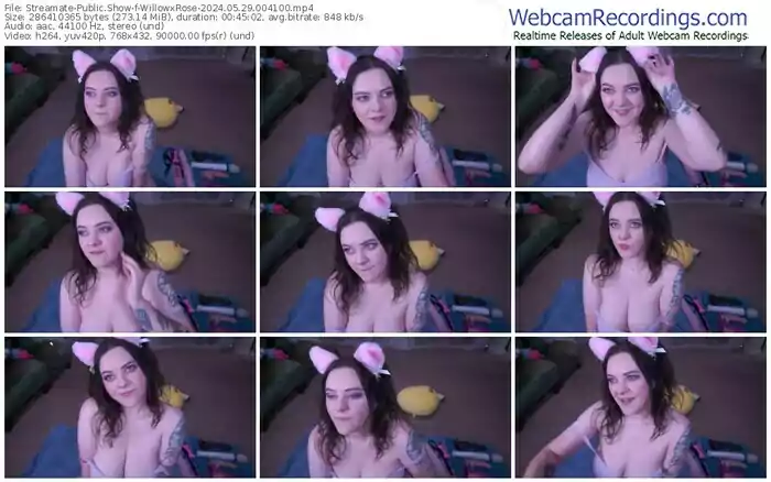 streamate-willowxrose-05-29-2024-00-41-00