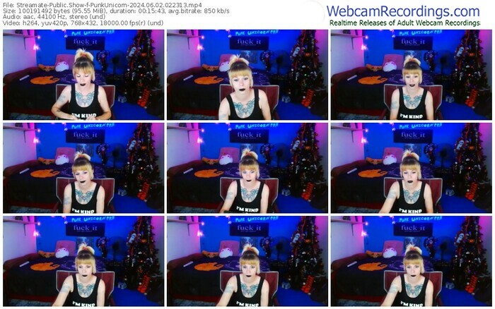 streamate-punkunicorn-06-02-2024-02-23-13