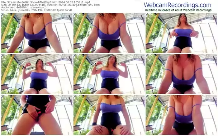 streamate-theelaysmith-06-02-2024-16-58-11