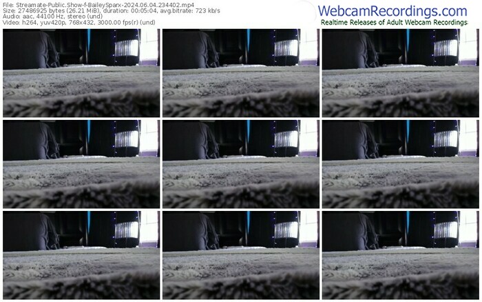 streamate-baileysparx-06-04-2024-23-44-02