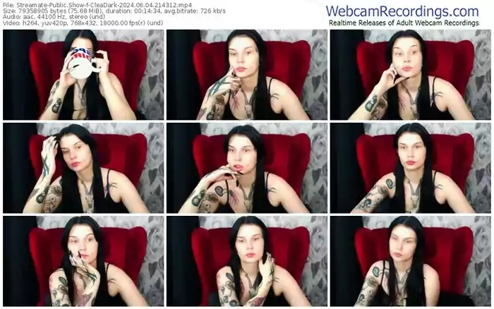 streamate-cleadark-06-04-2024-21-43-12