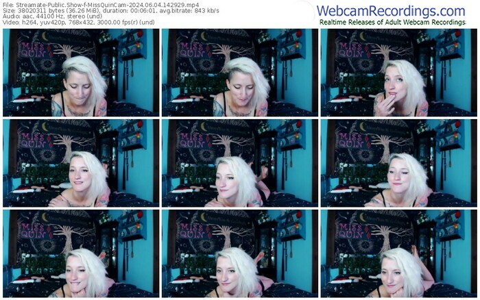streamate-missquincam-06-04-2024-14-29-29
