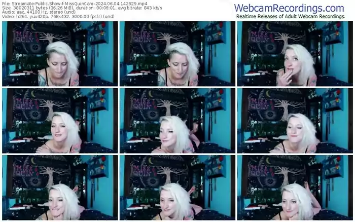 streamate-missquincam-06-04-2024-14-29-29