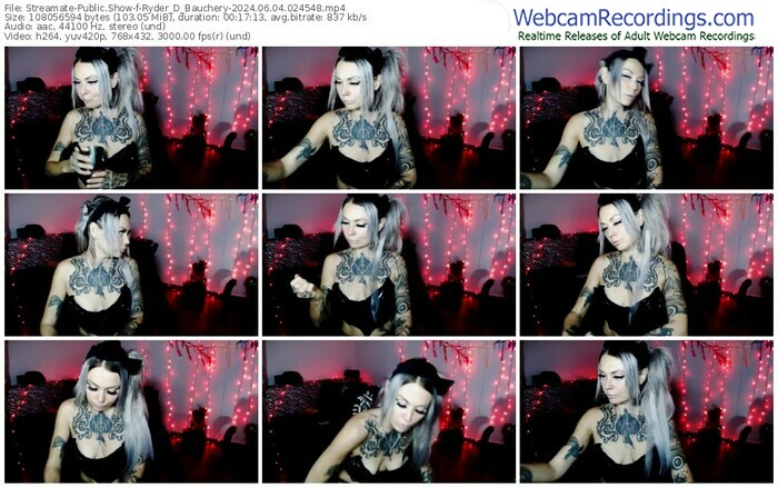 streamate-ryder_d_bauchery-06-04-2024-02-45-48