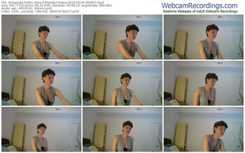 streamate-wheezycheese-06-04-2024-00-59-57