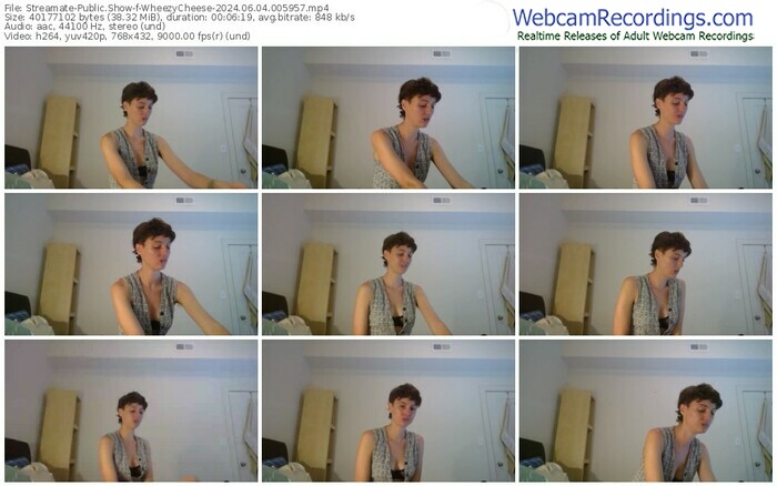 streamate-wheezycheese-06-04-2024-00-59-57