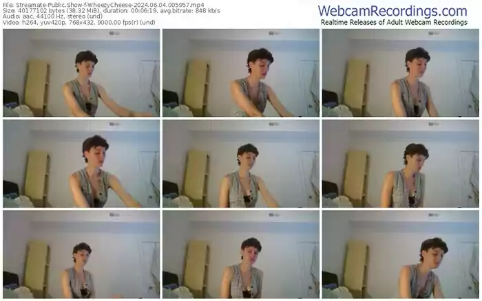 streamate-wheezycheese-06-04-2024-00-59-57