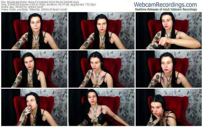 streamate-cleadark-06-06-2024-20-04-46