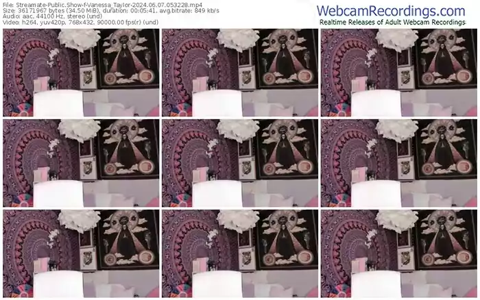 streamate-vanessa_taylor-06-07-2024-05-32-28