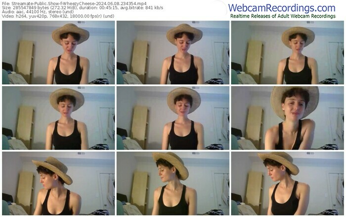 streamate-wheezycheese-06-08-2024-23-43-54