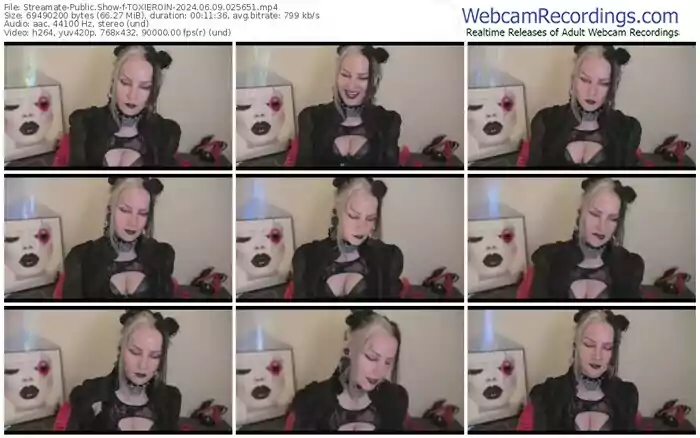streamate-toxieroin-06-09-2024-02-56-51