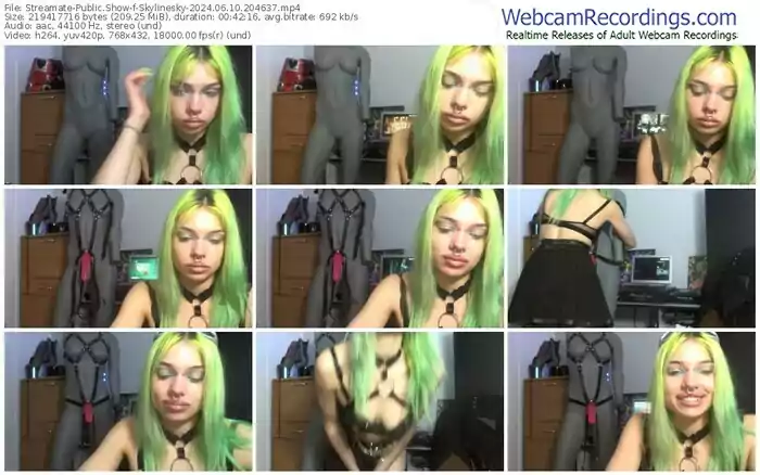 streamate-skylinesky-06-10-2024-20-46-37