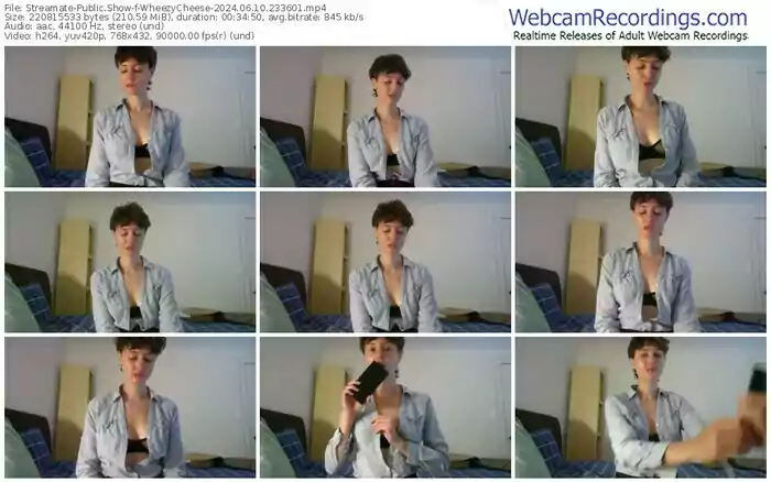 streamate-wheezycheese-06-10-2024-23-36-01