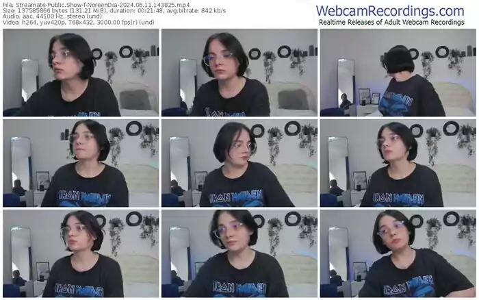 streamate-noreendia-06-11-2024-14-38-25