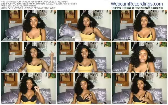 streamate-reneerobin-06-11-2024-04-48-23