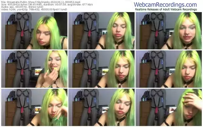 streamate-skylinesky-06-11-2024-00-06-53