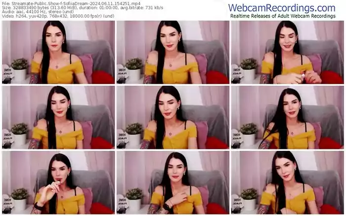 streamate-sofiiadream-06-11-2024-15-42-51