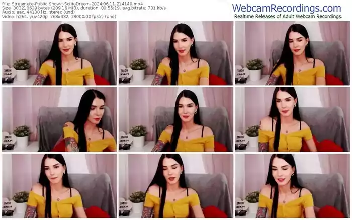 streamate-sofiiadream-06-11-2024-21-41-40