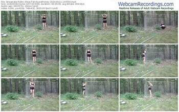 streamate-stickywethoney-06-11-2024-14-35-50