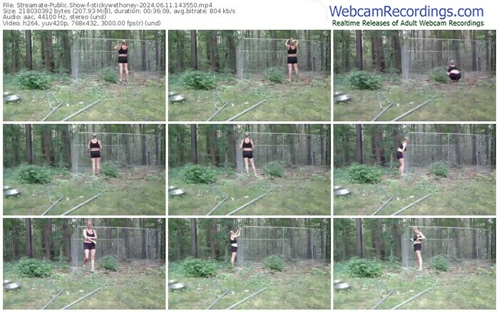 streamate-stickywethoney-06-11-2024-14-35-50