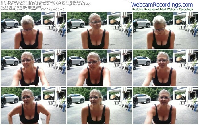 streamate-stickywethoney-06-11-2024-16-16-56