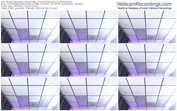 streamate-alex_dinero-06-12-2024-22-20-09