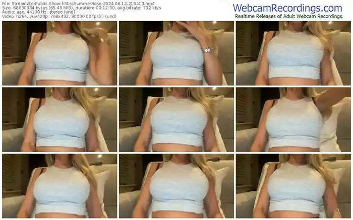 streamate-misssummerrose-06-12-2024-21-54-13