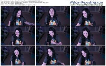 streamate-willowxrose-06-12-2024-00-17-19