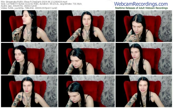 streamate-cleadark-06-13-2024-20-04-19
